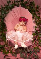 Guillaume CACHEUX - CACHPROD